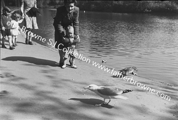 ST STEPHEN'S GREEN FEEDING DUCKS